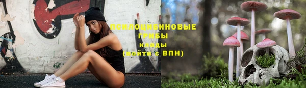 дживик Белоозёрский