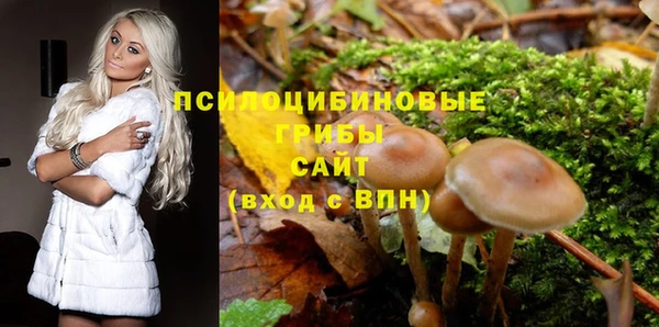 марки nbome Беломорск