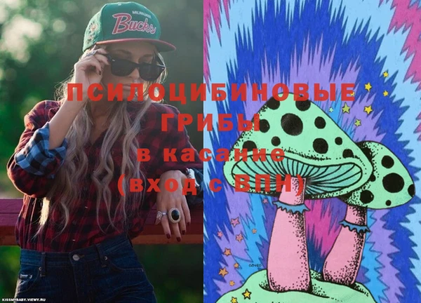 дживик Белоозёрский