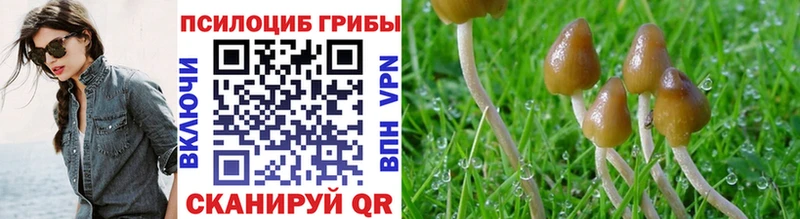закладки  Полесск  Галлюциногенные грибы мухоморы 